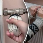 Батериите ще се нагорещят: гениален трик за превръщане на радиаторите