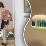 Домакините са призовани да третират домовете си с паста за