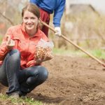 Какво да не засаждаме след лук: 90% от градинарите правят една и съща грешка Какво да не засаждаме след лук: 90% от градинарите правят