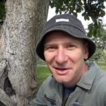 Кухото дърво не е присъда: доказан начин да удължите живота