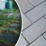 Плевелите в двора ви ще изчезнат за една нощ, ако ги напръскате с едно кухненско средство Плевелите в двора ви ще изчезнат за една нощ, ако