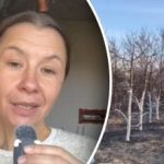 Причината, за която малко хора знаят: защо се белят дърветата през есента Причината, за която малко хора знаят: защо се белят дърветата