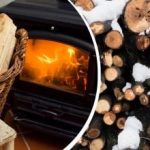 Суровите дърва ще горят като сухите: прост метод, който винаги