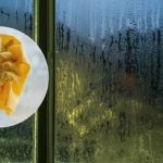 Защо котешката тоалетна се изсипва върху первазите на прозорците: само